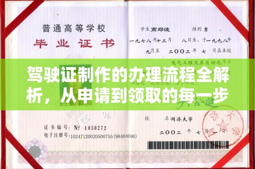 左贡驾驶证制作的办理流程全解析，从申请到领取的每一步